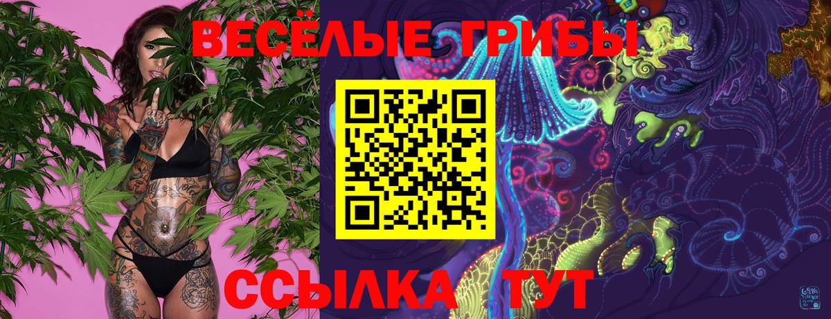 Псилоцибиновые грибы GOLDEN TEACHER Киселёвск
