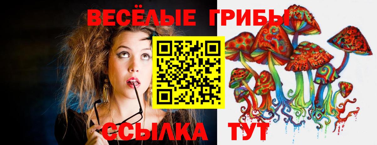 Киселёвск  как найти закладки  Галлюциногенные грибы Cubensis  Вход с VPN  Галлюциногенные грибы Magic Shrooms 